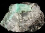 Beryl (Var: Emerald) Crystal in Schist & Biotite - Bahia, Brazil #44126-1